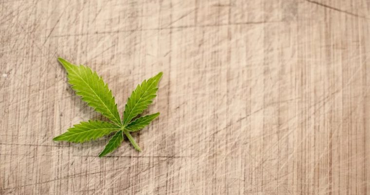 5 Health Benefits of Keeping a Cannabis Plant at Home