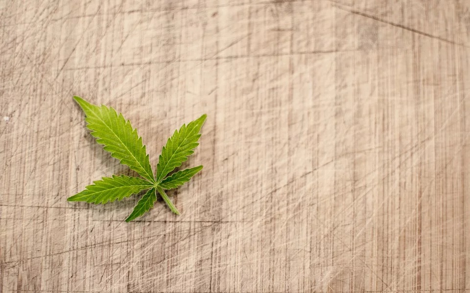 5 Health Benefits of Keeping a Cannabis Plant at Home