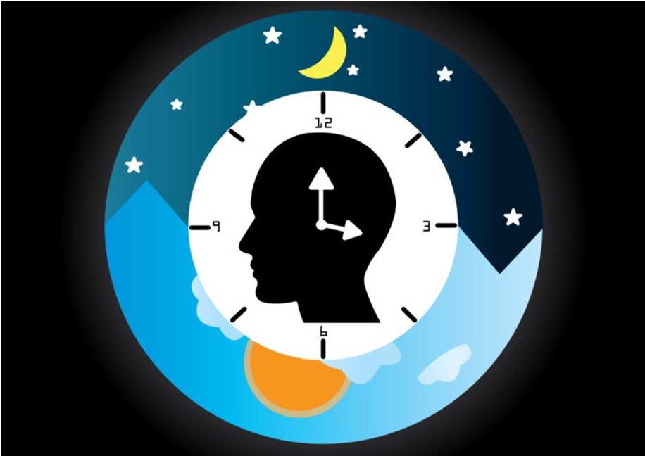 How Circadian Rhythm Lighting Actually Improves Your Health?