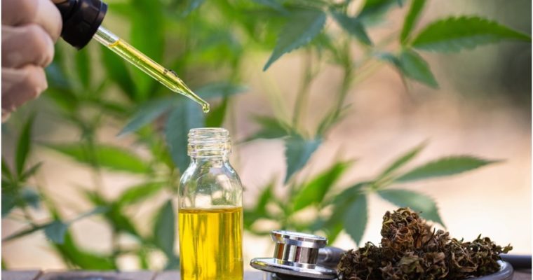 10 Benefits of Hemp Seed Oil For Great Health