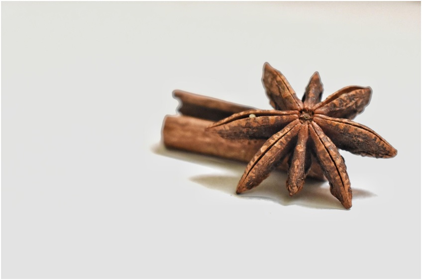 Mosquito repellent with cloves