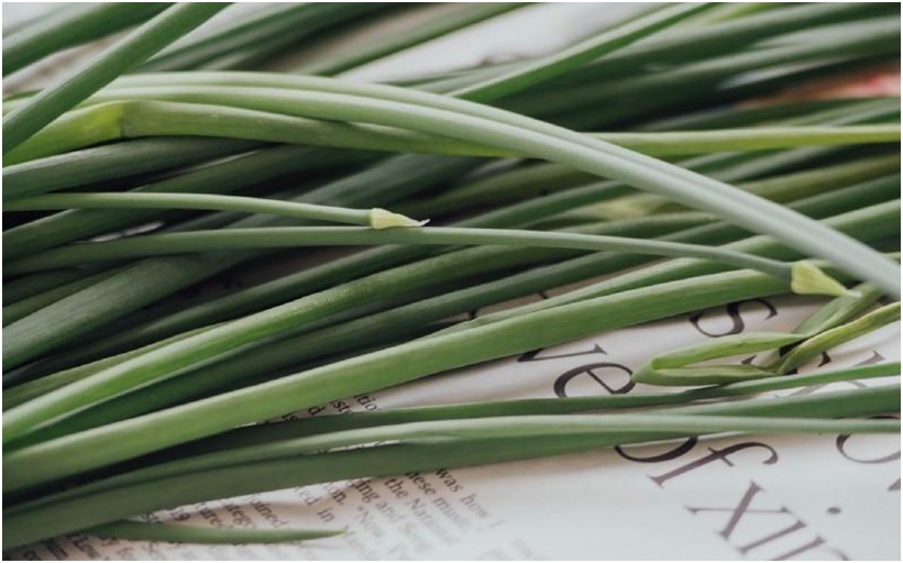 Mosquito repellent with lemongrass