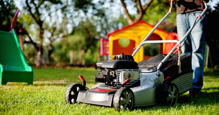 Lawn Mowing: Everything You Need to Know
