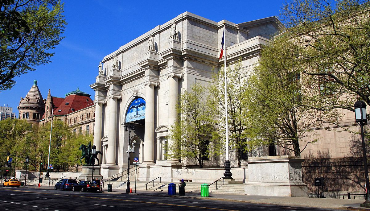 Museum of Natural History- New York