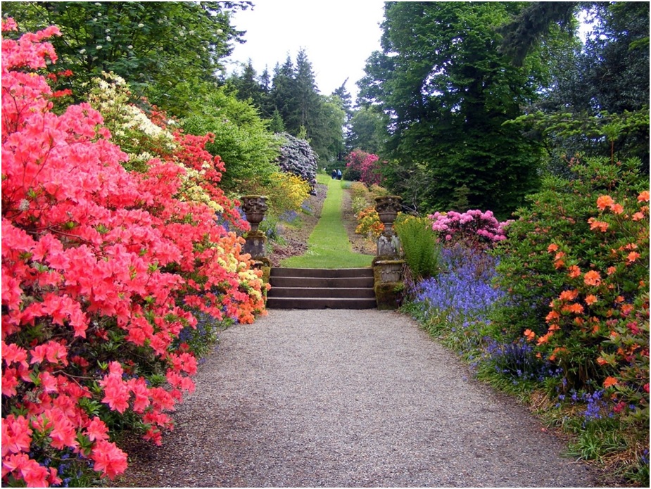 How to Pick the Right Landscape Designer for Your Project?