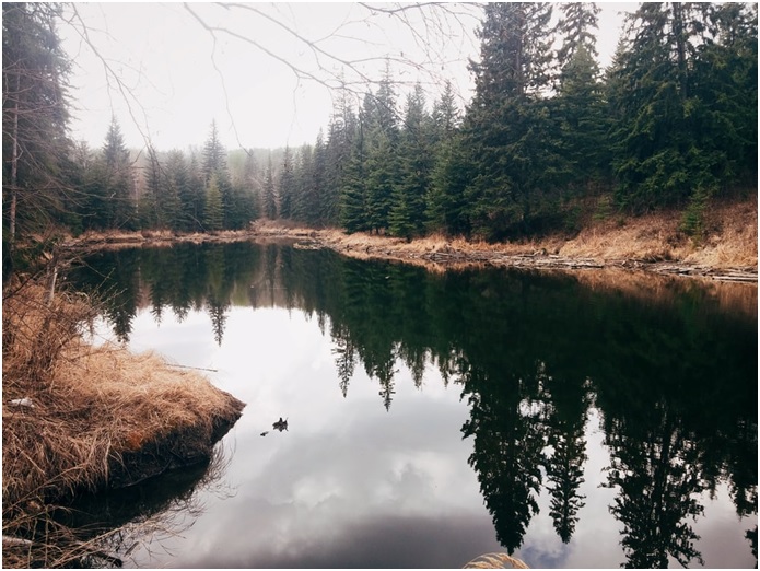 Edmontons river valley