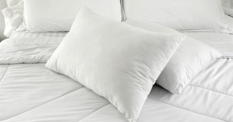 Top 5 Best Brands of Wedge Pillow Available Online