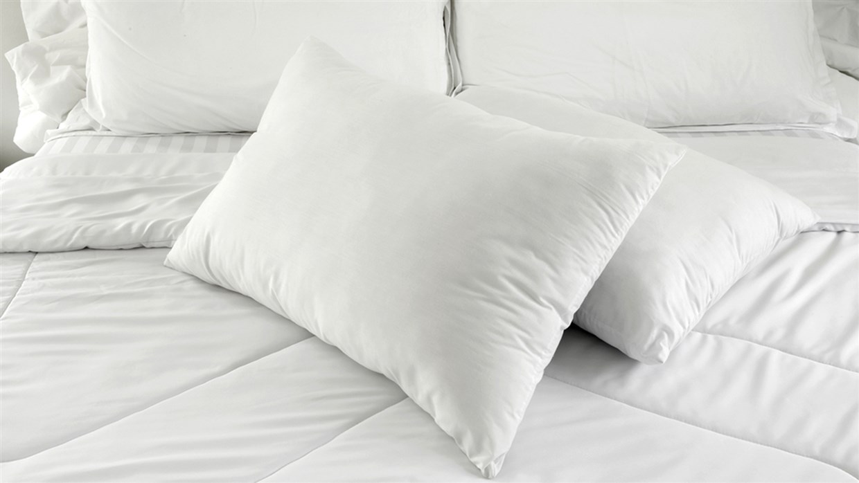 Top 5 Best Brands of Wedge Pillow Available Online