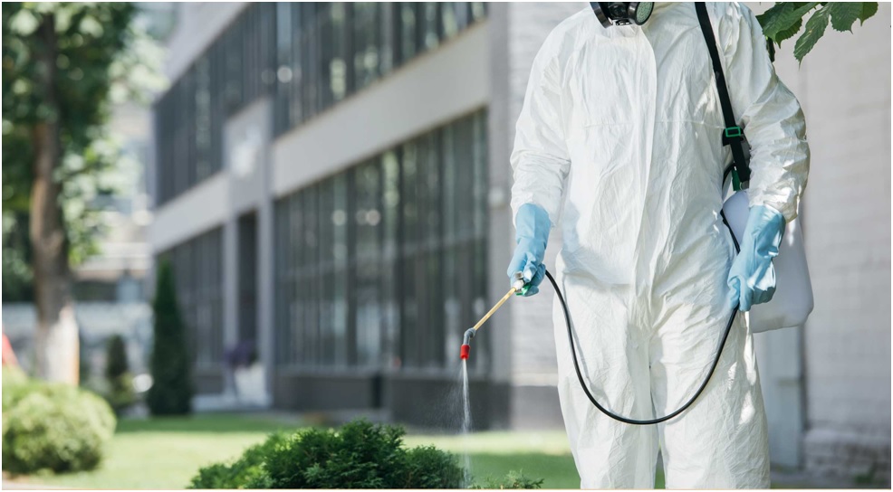 5 Signs You Need Industrial Pest Control Services In Adelaide