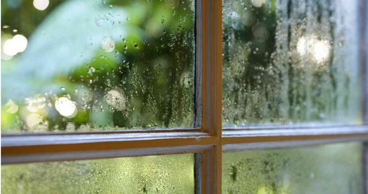 All That You Need to Know About Selecting Replacement Windows