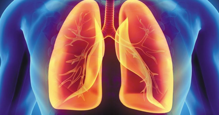 Watch Your Breath: Activities that Improve Lung Health