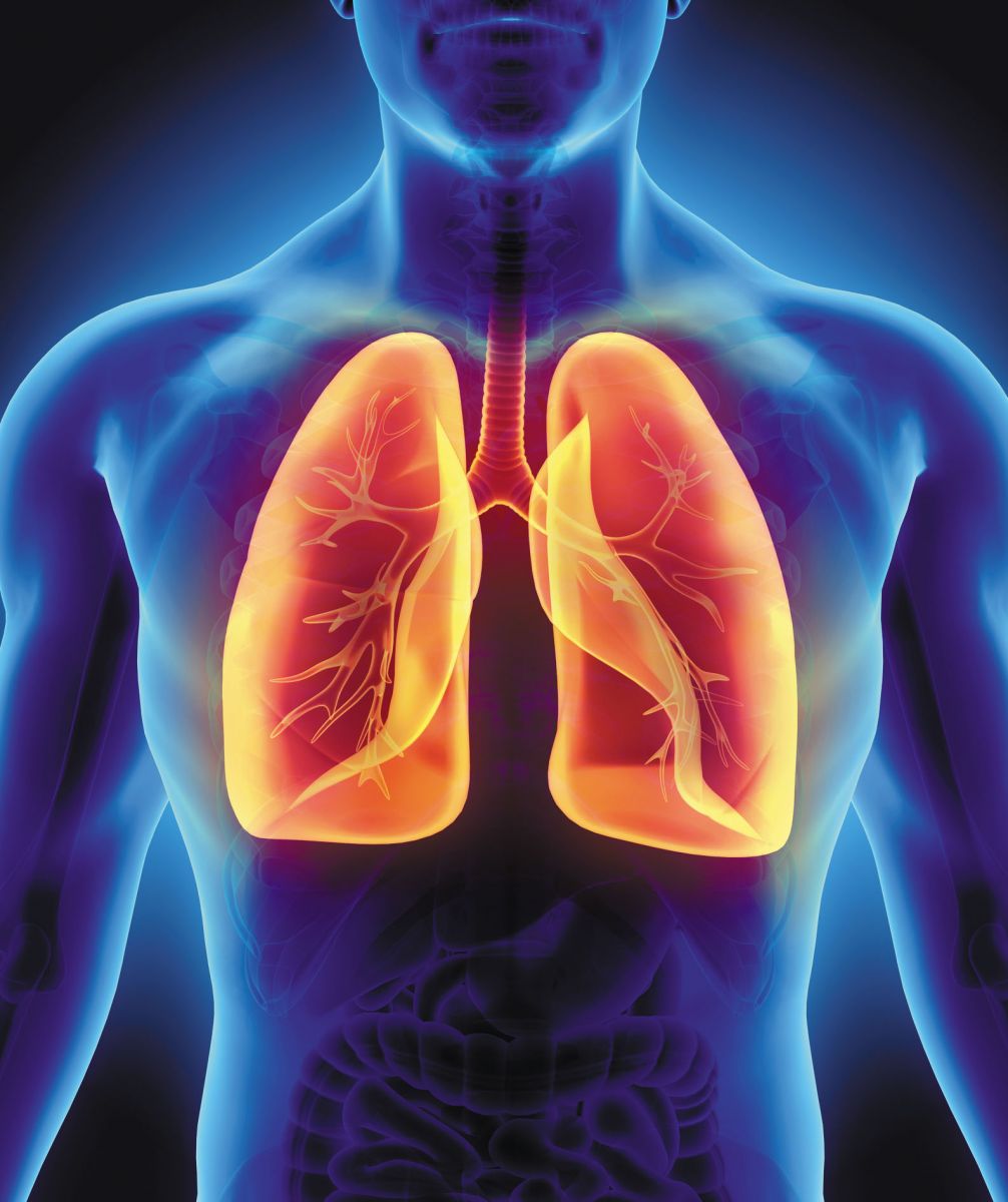 Watch Your Breath: Activities that Improve Lung Health