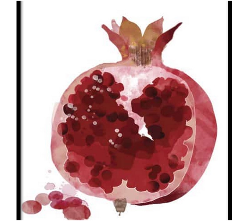 Watercolor pomegranate in half illustration poster