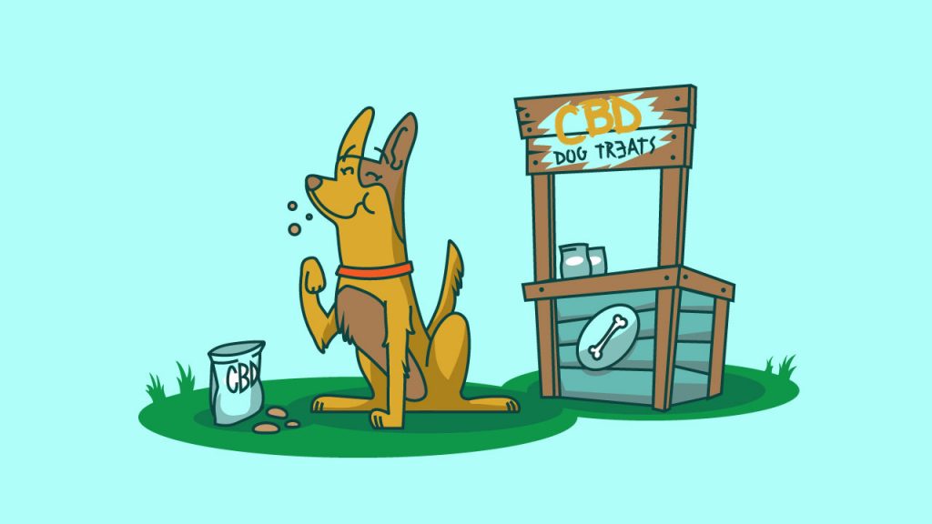 Why CBD Treats Are Becoming More Popular Among Pet Owners?