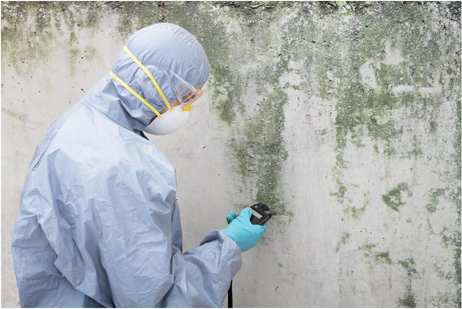 Mold removal