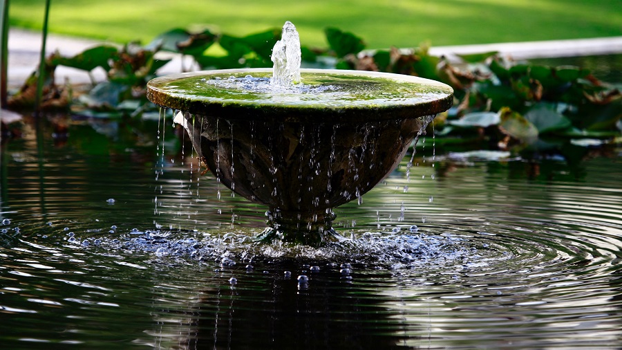 Things to Consider When Choosing a Pond Fountain