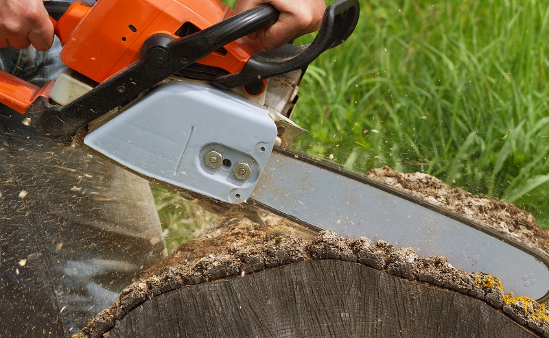 Tree Removal