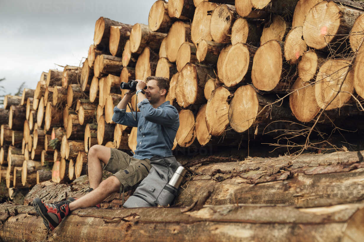 Choosing Fire Starters & Wood Logs for Sale for Camping Purposes