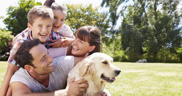The Power of Pets: Why Owning a Pet Is Good for Your Health