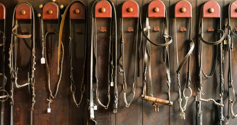 Choosing the Right Bridle For Your Horse: The Ultimate Guide
