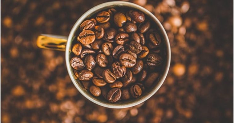 How To Choose the Coffee Beans That Are Right for You