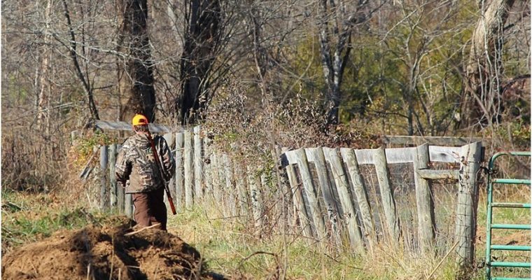 5 Tips For New Deer Hunters