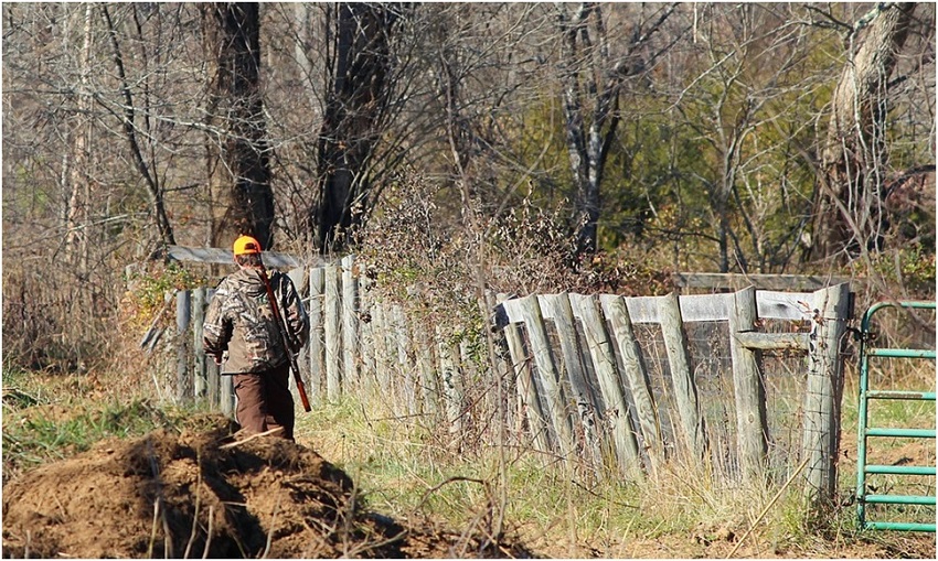 5 Tips For New Deer Hunters