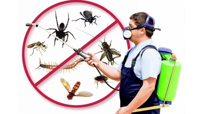 5 Questions You Must Ask A Pro Pest Control Company