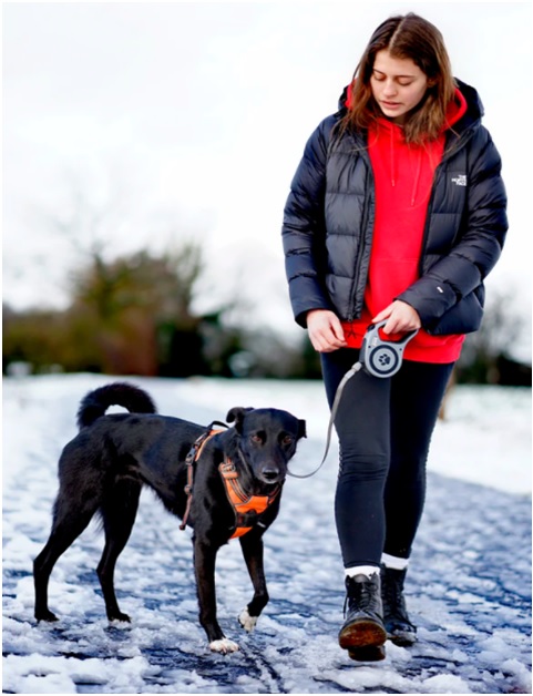 Dogs love exercise