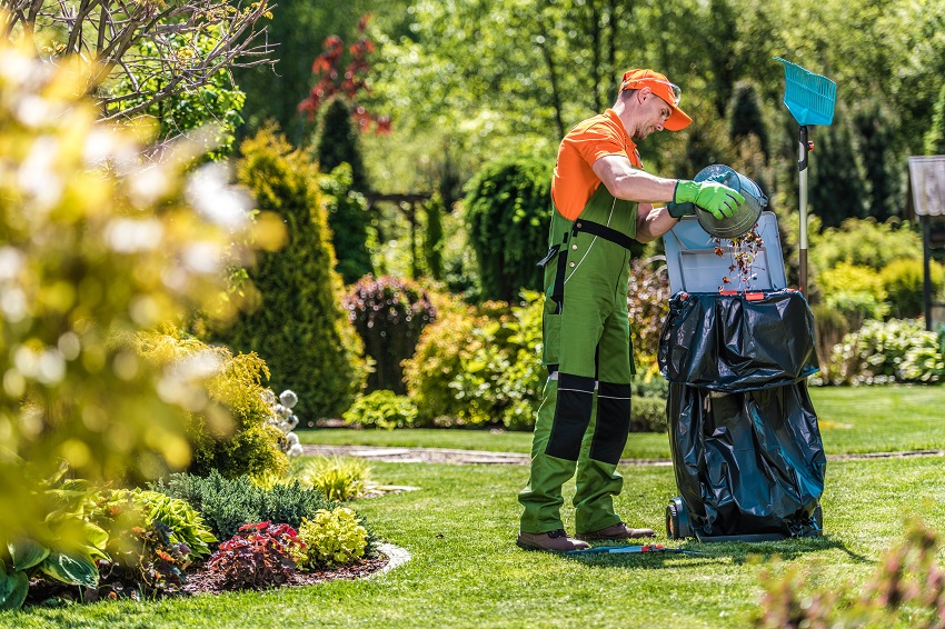 Questions to Ask When Scheduling Garden Rubbish Removal Service For Your Backyard