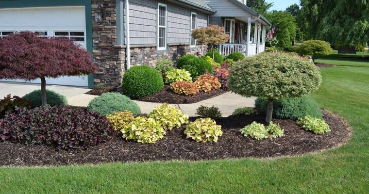 6 Ways To Immediately Improve Your Outdoors With Professional Landscaping