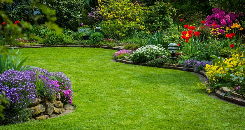 Local Sacramento Landscaping Company, Local Landscaping Companies
