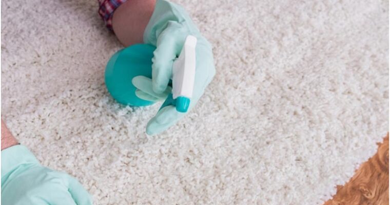 What Is The Best Homemade Organic Carpet Cleaning Solution