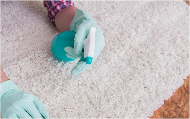 What Is The Best Homemade Organic Carpet Cleaning Solution