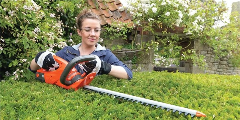 How to Master the Hedge Trimmer: Tips and Tricks