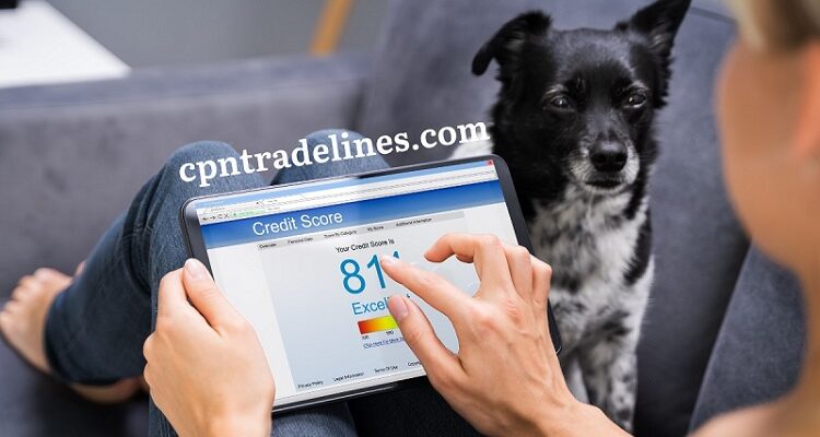 Credit Tradelines: Everything You Need to Know