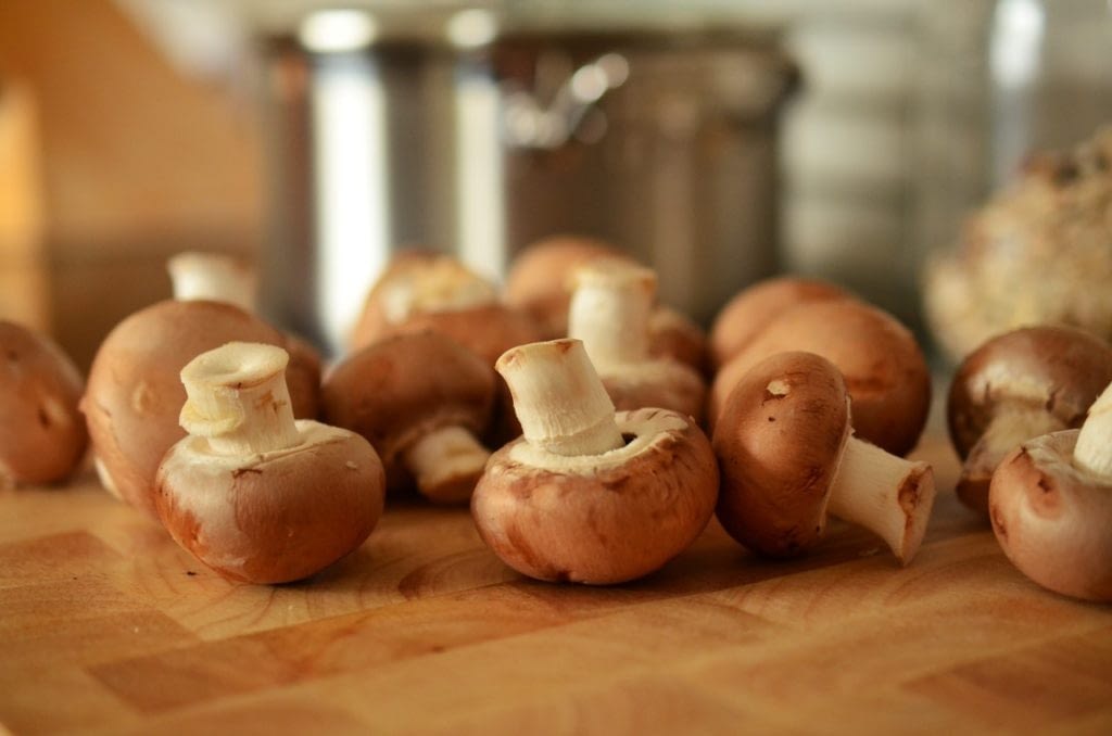 5 Things to Know Before You Start Taking Mushroom Extract for Better Health
