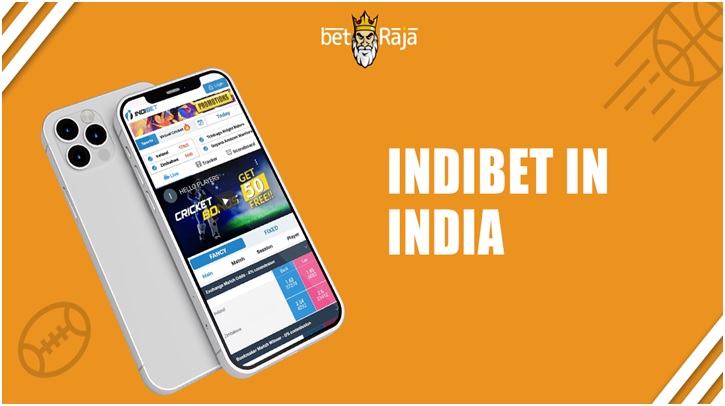 Have a Look at Our Indibet Review