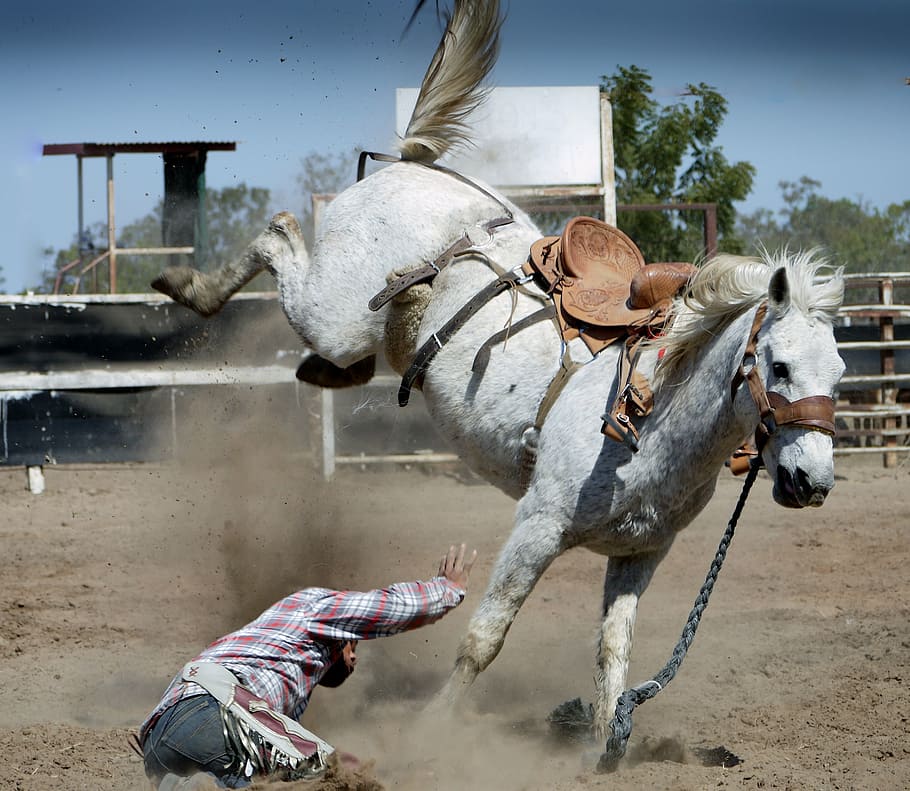 Rodeo Capital