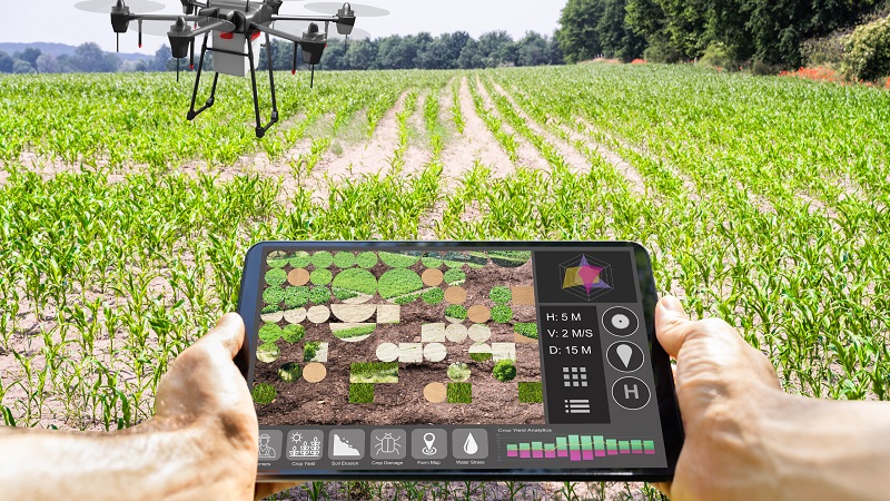 On Agricultural Technology: Utilizing Tech to Improve Crop Yields