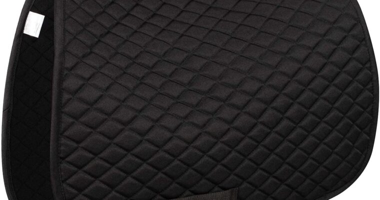 Choose The Best Saddle Pad For Your Horse