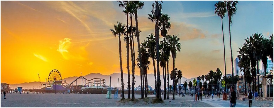 Explore Cool Spots In Los Angeles That You Can’t-Miss