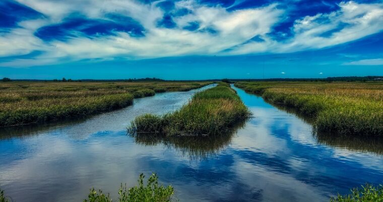 5 Amazing Things To Do On South Carolina’s Hammock Coast