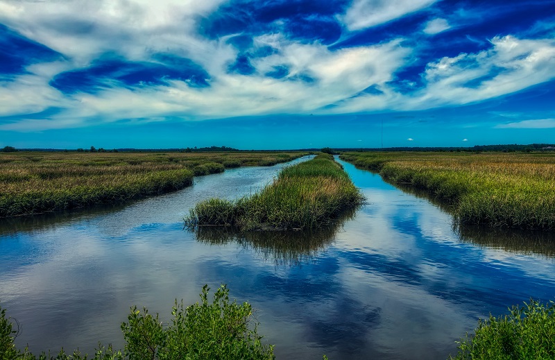 5 Amazing Things To Do On South Carolina’s Hammock Coast