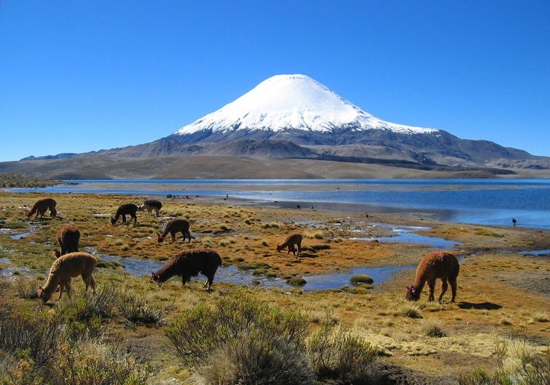 Chungará Lake