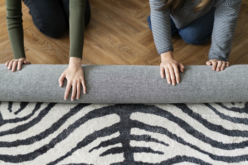 Living Room Rug