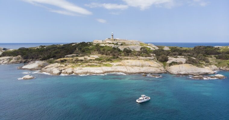 Montague Island for First-Time Visitors