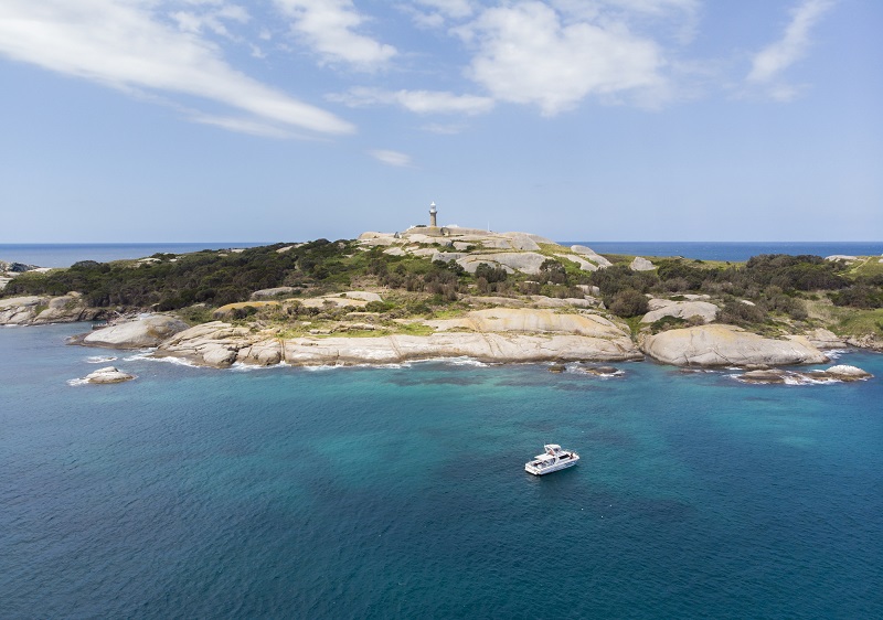 Montague Island for First-Time Visitors