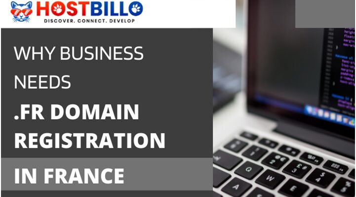 Why Business Needs .Fr Domain Registration in France