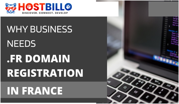 Why Business Needs .Fr Domain Registration in France